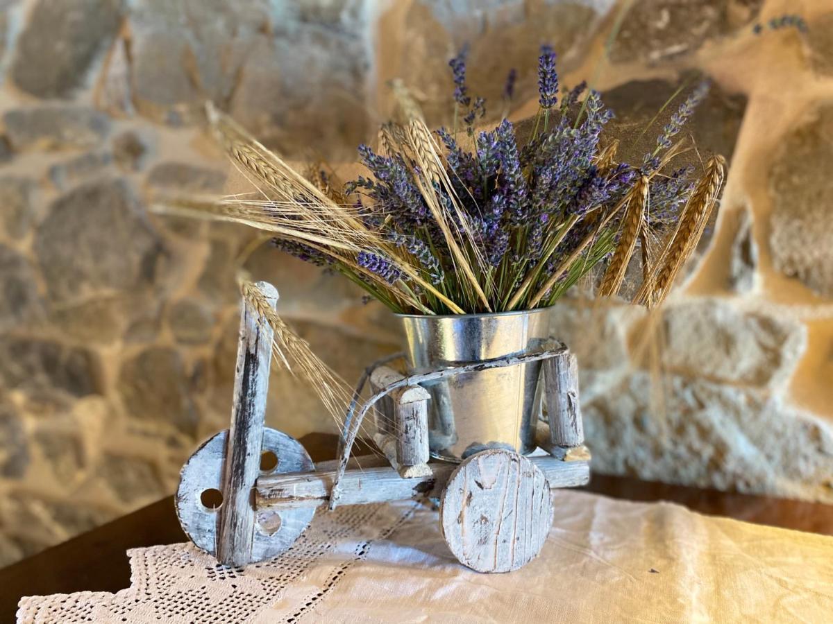 Gaggio Montano L'Oca Giuliva Relais B&B 외부 사진
